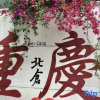 Отель Chongqing Guanyinqiao 9th Street Manxin Hotel, фото 10
