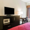 Отель Quality Inn & Suites near Coliseum and Hwy 231 North, фото 23