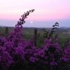 Отель Fazenda Dons de Minas, фото 4