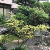 Отель Kaisenkaku, фото 14