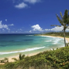 Отель Islander on the Beach 259 - studio Br Condo, фото 18