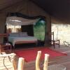 Отель Safari Explorers Camp, фото 4