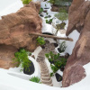 Отель Villa Julianne 1, фото 24