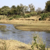 Отель Mthimkhulu Private Game Reserve- Adults Only, фото 11