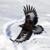 Отель Langedrag Naturpark, фото 16