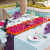 Отель Tree of Life Resort & Spa, Jaipur, фото 31