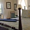 Отель Alynn's Butterfly Inn Bed & Breakfast, фото 4
