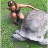 Отель La Belle Tortue на Острове Силуэте