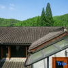 Отель Moganshan Creekside Wood House, фото 7