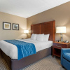 Отель Comfort Inn University, фото 34