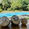 Отель Uvita Oasis Retreat with Villa Cabins and Apartment, фото 14
