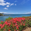 Отель Napili Point A9, фото 29