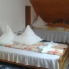 Отель Pensiunea Letitia, фото 5