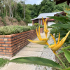 Отель Hujung Kampung, фото 4