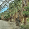 Отель Bubbling Wells Oasis, фото 17