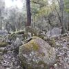 Отель Site 52 - Ban Pakeo & Home stay ( Full Board), фото 3