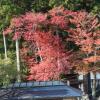 Отель Atarashiya Ryokan - Dorogawa-onsen Hot Spring, фото 12