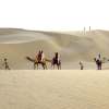 Отель Classic Thar Resort Camp, фото 15