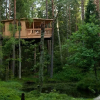 Отель Urnatur Eco Treehouse Lodge, фото 20