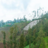Отель OYO 2169 Anugrah Bromo Homestay, фото 12