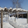 Отель C dra Topia the Grape Pergola House Near Alba Charming House - Italy, фото 1