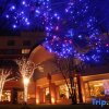 Отель Forest Spa Resort Hokkaido Hotel, фото 25