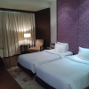 Отель Royal Orchid, Jaipur, фото 5