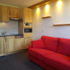 Отель Appartement Les Arcs 1600, 1 pièce, 3 personnes - FR-1-411-533, фото 4