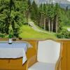 Отель Appartements Gartenhotel Rosenhof bei Kitzbühel, фото 5