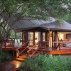 Отель Tuli Safari Lodge, фото 6