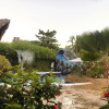 Отель Cabañas Aqua Blue, фото 20