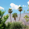 Отель Lions Gate Estate Holiday home 4, фото 29