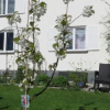 Отель Urlaub bei Freunden, фото 14