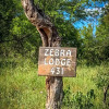 Отель Zebra Lodge & Giraffe Lodge, фото 21