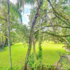 Отель Quiet Tampa Studio: 5 Mi to Raymond James Stadium!, фото 21
