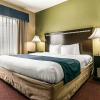 Отель Rodeway Inn & Suites East/I-44, фото 5
