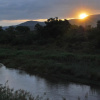 Отель River House Bush and Safari Lodge, фото 12