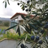 Отель Villa with 6 Bedrooms in Santa Cruz Do Lima, with Wonderful Mountain View, Private Pool, Enclosed Ga, фото 28
