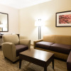 Отель Holiday Inn Express & Suites Aiken, an IHG Hotel, фото 6