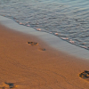 Отель Nana Golden Beach - All Inclusive, фото 38