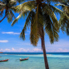 Отель Phangan Island View Hotel, фото 17