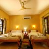 Отель Chitwan Paradise Hotel, фото 37