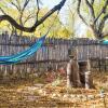 Отель Cozy Adobe Casita: 1 Mile to Santa Fe Plaza!, фото 10
