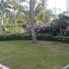 Отель Nelson Spring Beach Resort, фото 31