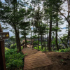 Отель The Bay Jeju Resort, фото 32