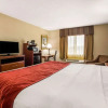 Отель Comfort Inn & Suites Crabtree Valley, фото 4
