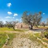 Отель 2769 Uliveto Valeria - Trullo Fico by Perle di Puglia, фото 16