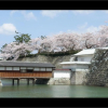 Отель Fukui Palace Hotel, фото 8