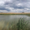 Отель Camping & Guest House Pliskovice, фото 9