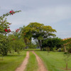 Отель Fazenda Bela Vista, фото 9